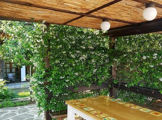 Casa Domingo * Szinemorec