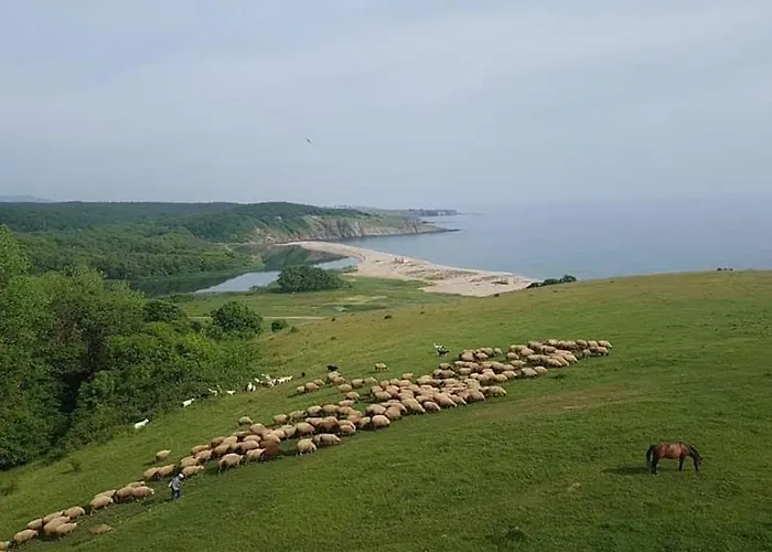 Szálloda Casa Domingo Szinemorec