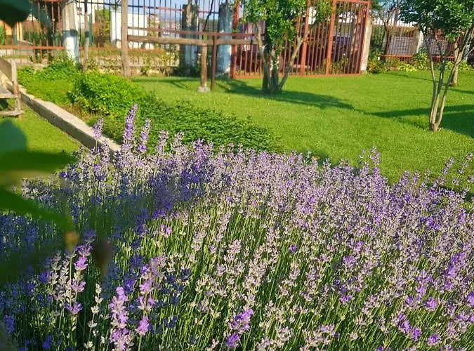 Szálloda Casa Domingo Szinemorec